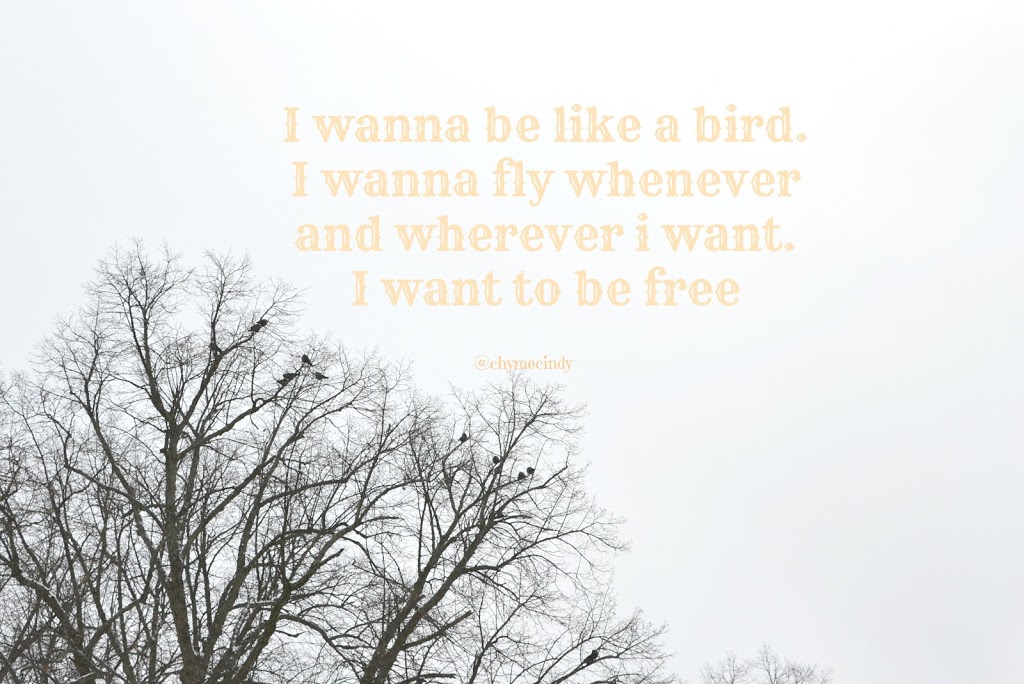 I Wanna Be Like A Bird