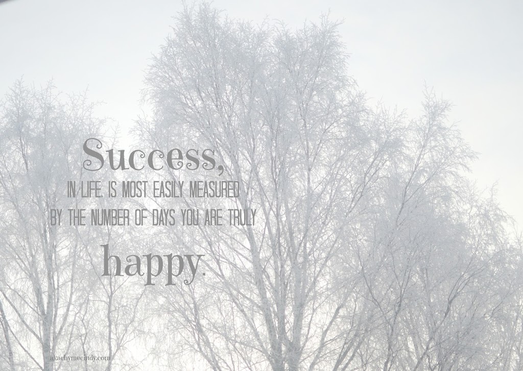 Success in life is mostly measured by the number of days you are truly happy
