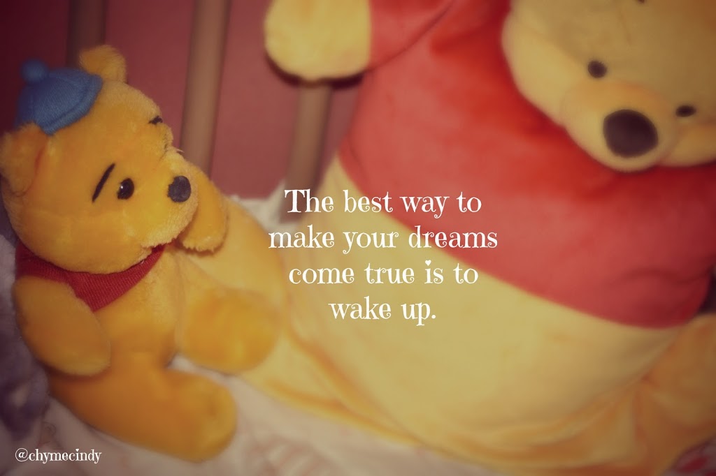 The best way to make your dreams come true is to wake up.