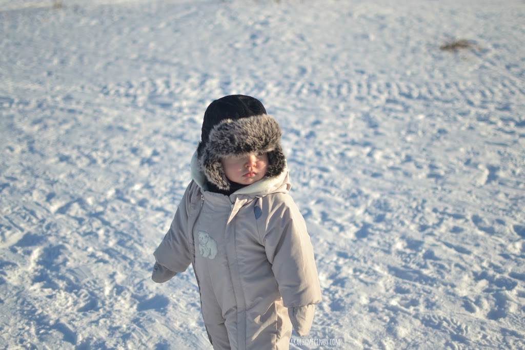 Adventures At The Frozen Sea