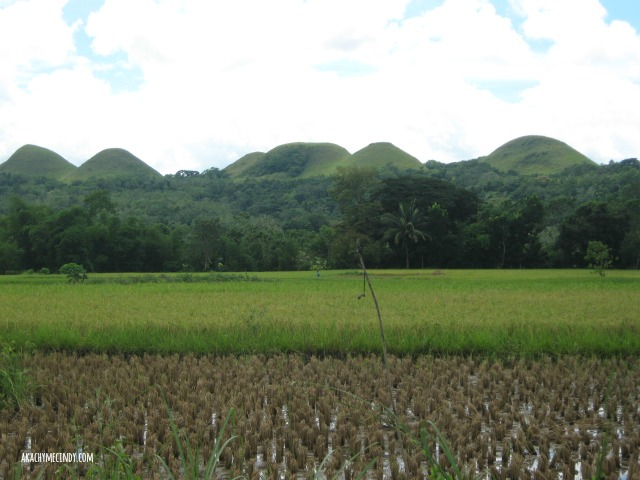 Travel Diaries: Bohol Chocolate Hills (2010)