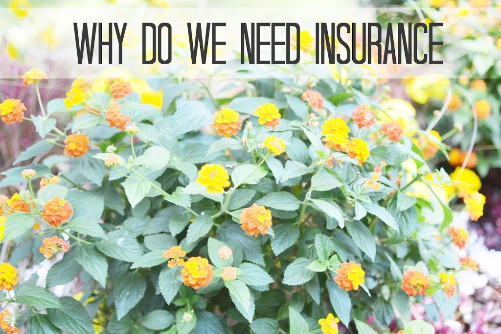 Why Do We Need Insurance