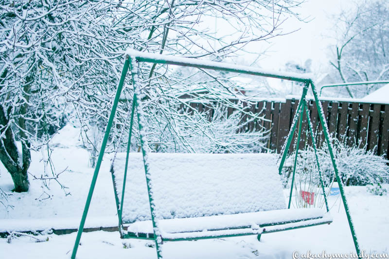 First Snowfall 2014