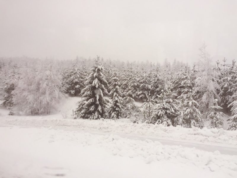 Snow Photos Through iPhone