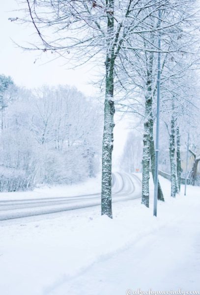 I wonder if the snow loves the trees and fields…