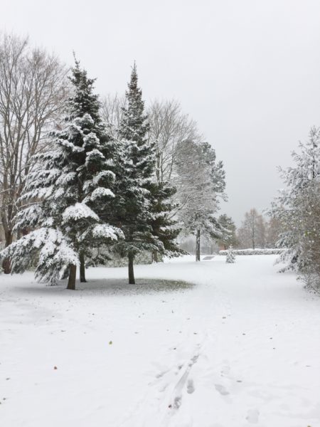 First Snowfall