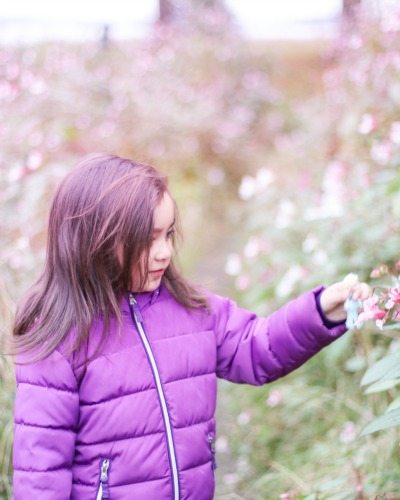 Pink Fields & Life Lately