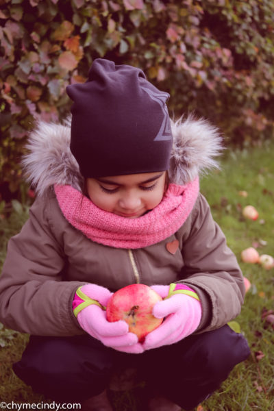 Apple Falling In Autumn