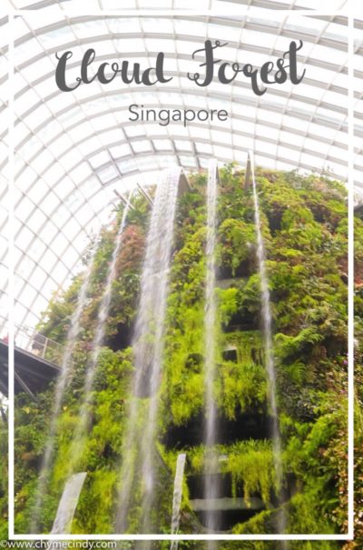 Cloud Forest Singapore