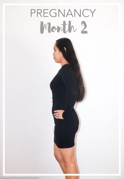Pregnancy Update / Week 5-8