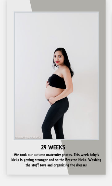 Pregnancy Update / Week 29